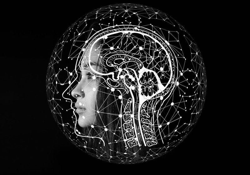 Multiple Intelligence Quiz