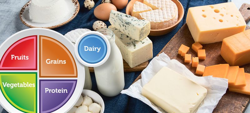 Myplate Quiz