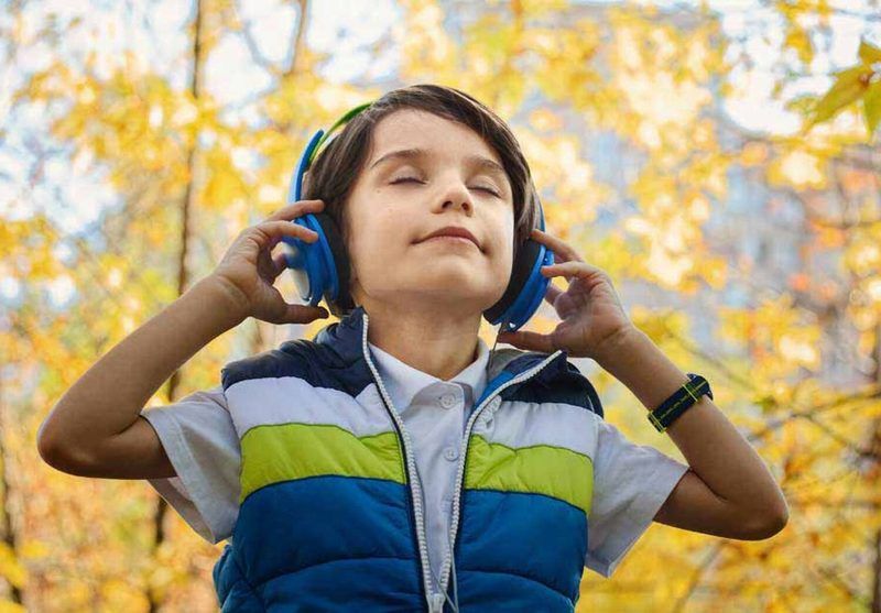 Neurosensory Quiz