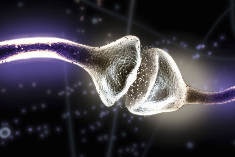 Neurotransmitter Quiz