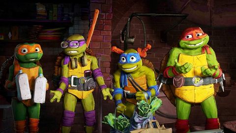 Ninja Turtle Quiz