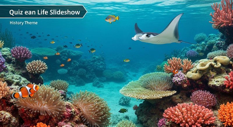 Ocean Life Slideshow