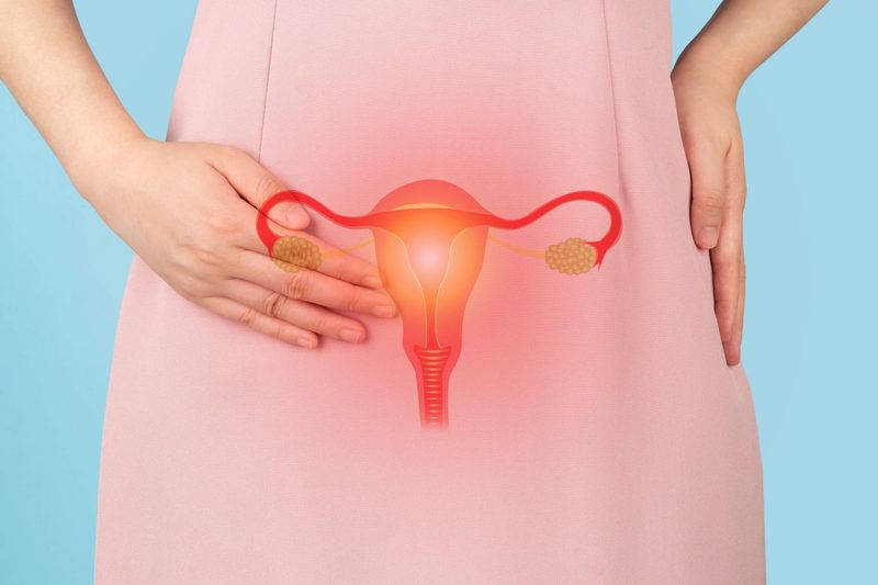 Ovulation Quiz