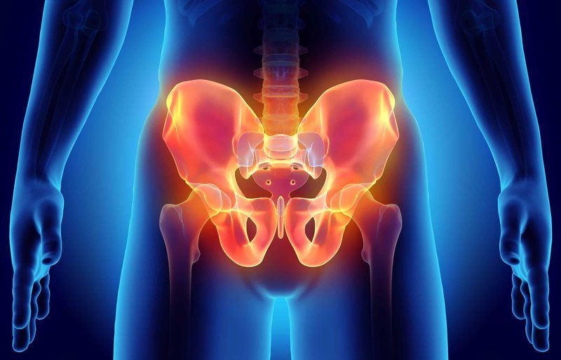 Pelvis Quiz