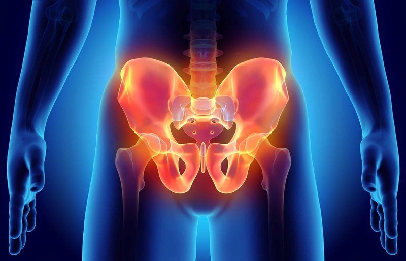 Pelvis Quiz