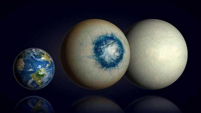Planet Life Quiz