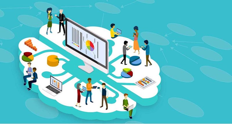 Reasoning And Organization Quiz