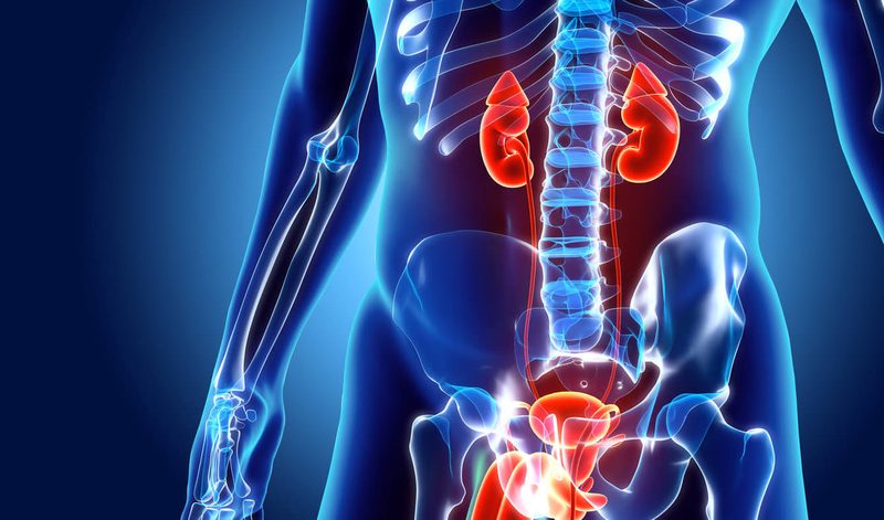 Renal And Urinary Quiz