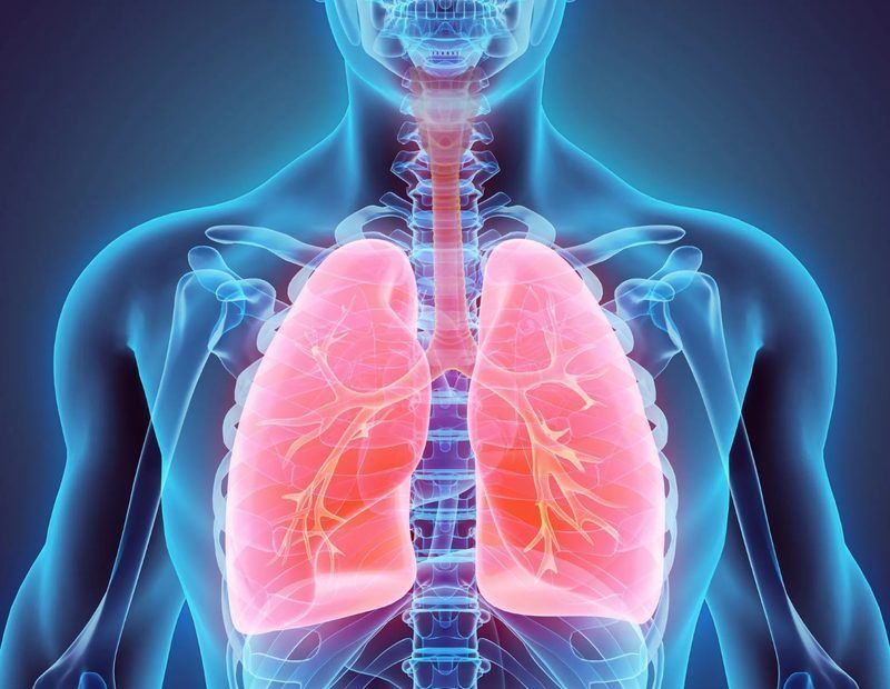 Respiratory System Quiz