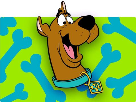 Scooby Doo Quiz