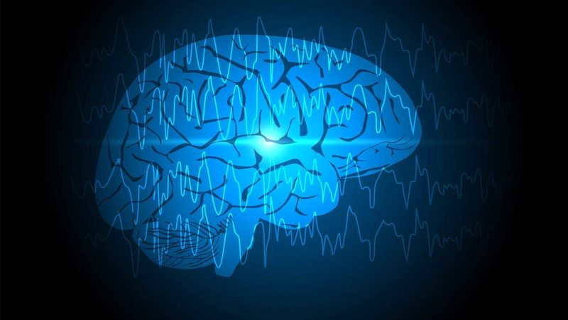 Seizure Quiz