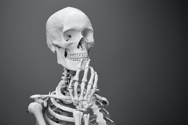 Skeletal System Quiz