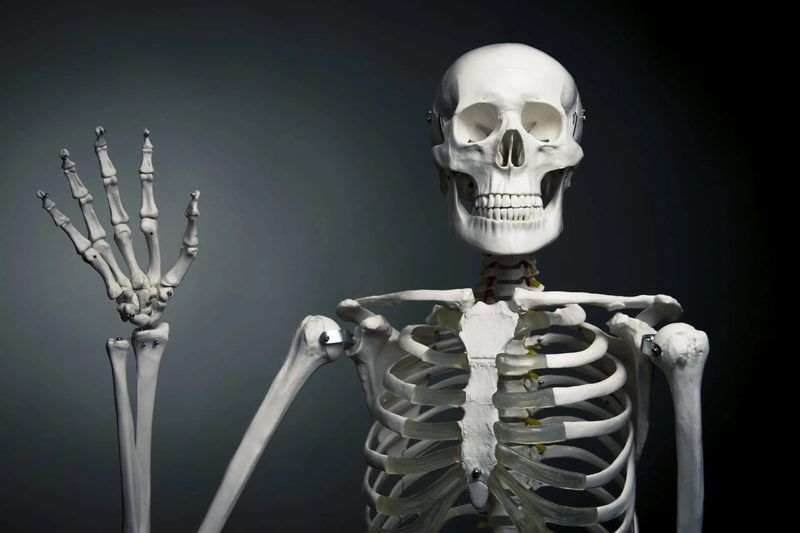 Skeleton Quiz
