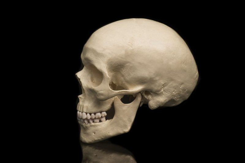 Skull Bones Quiz