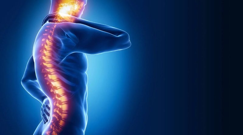 Spinal Cord Quiz