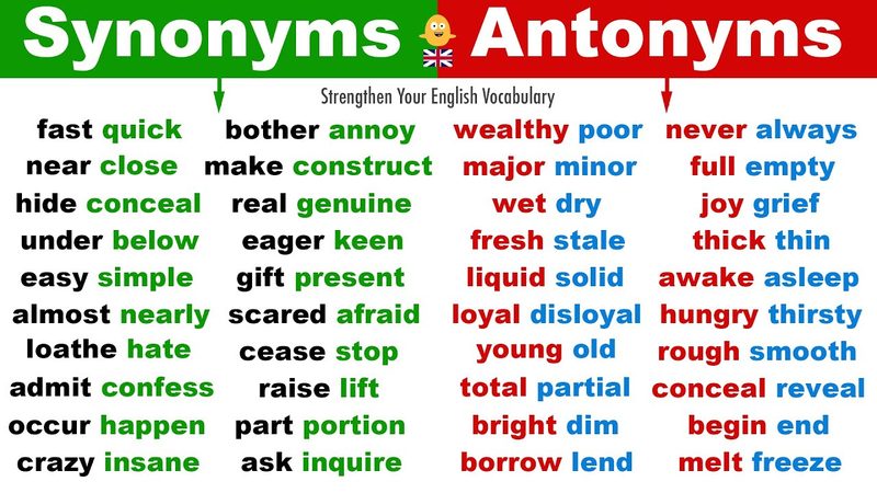 Synonyms And Antonyms Quiz
