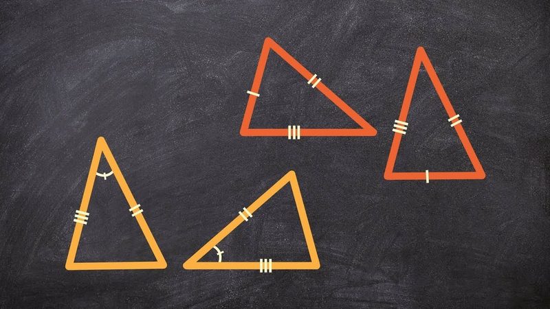 Triangle Congruence Quiz