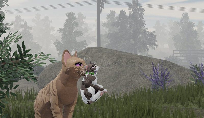 Warrior Cats Mate Quiz