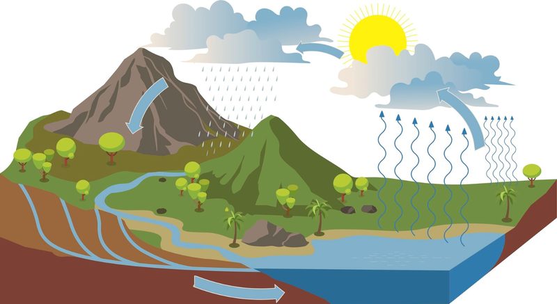 Water Cycle Quiz