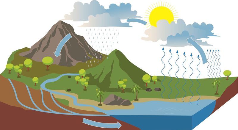 Water Cycle Quiz