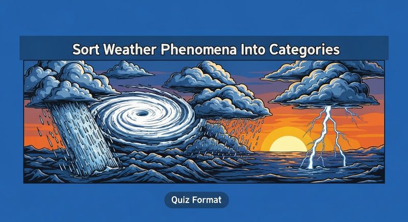 Sort Weather Phenomena Into Categories