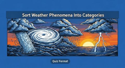 Sort Weather Phenomena Into Categories
