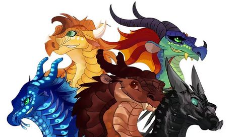Wings Of Fire Quiz