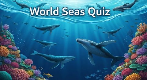 World Seas Quiz