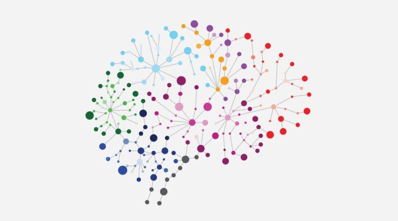Zone Of Genius Quiz