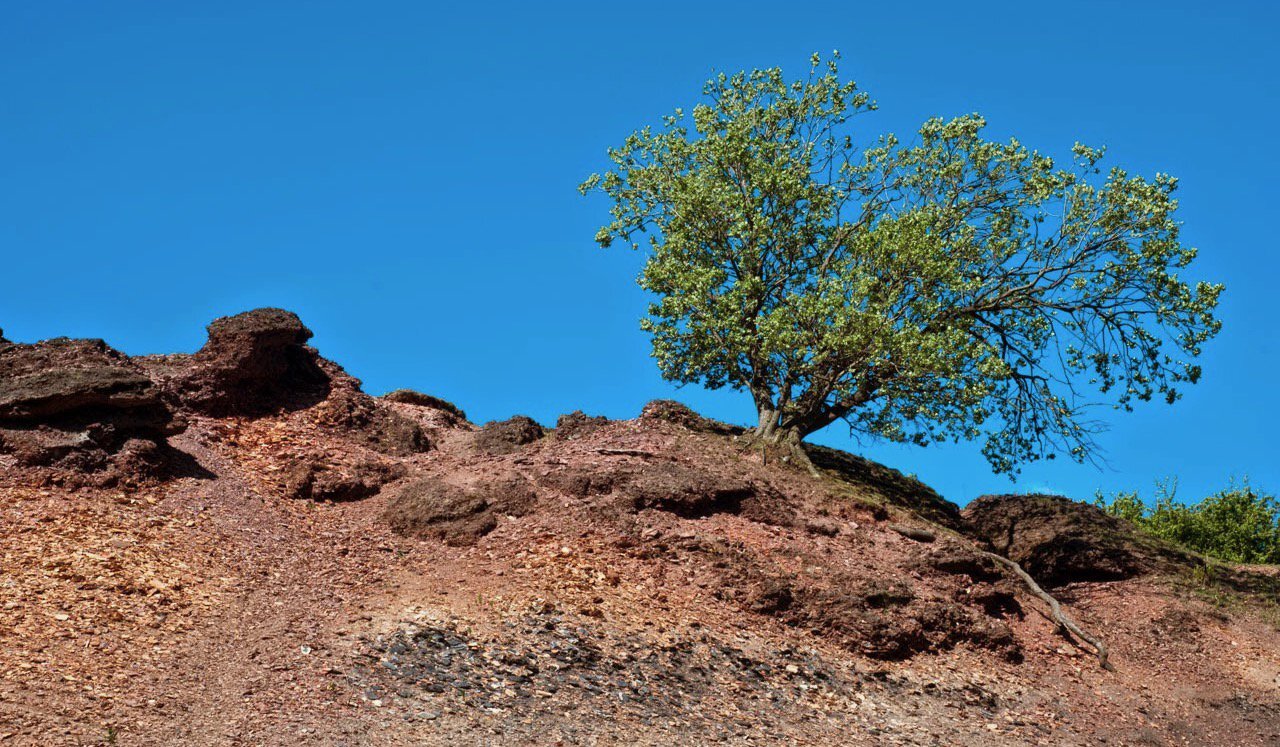bing-mountains-quiz