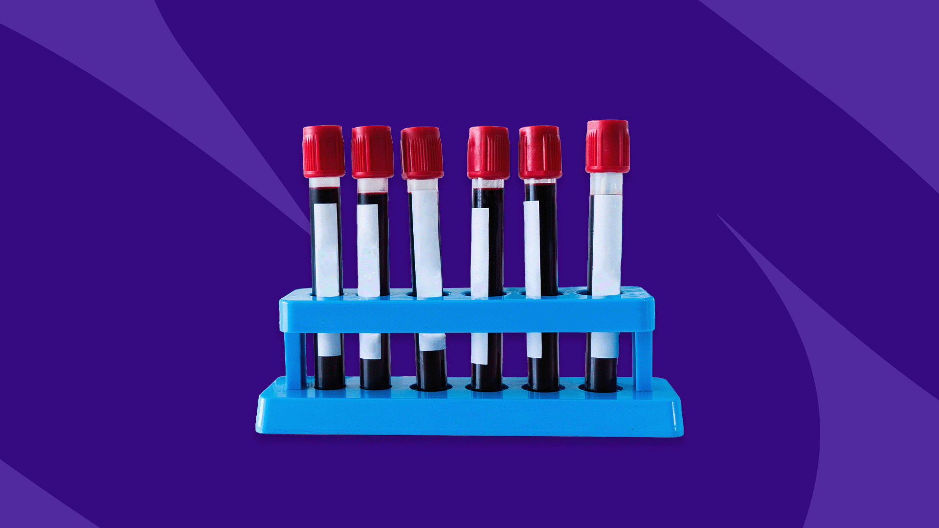 Blood Type Quiz