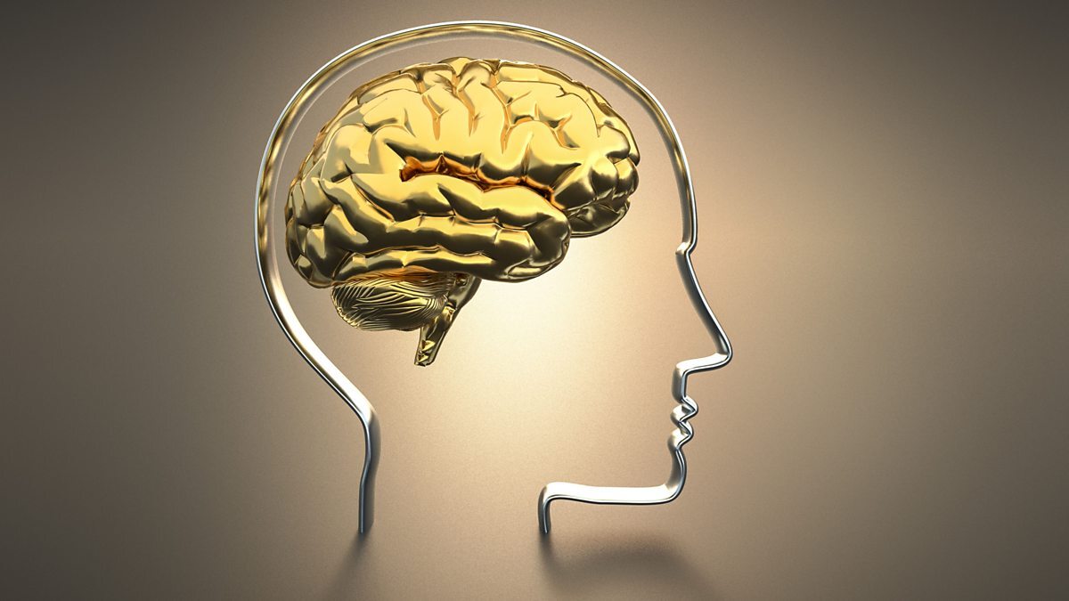 Brain Test Quiz