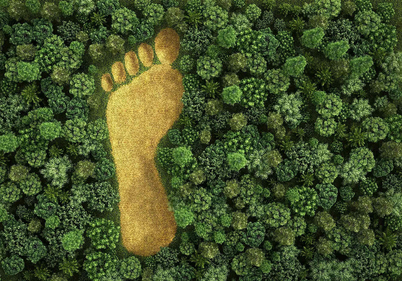 ecological-footprint-quiz