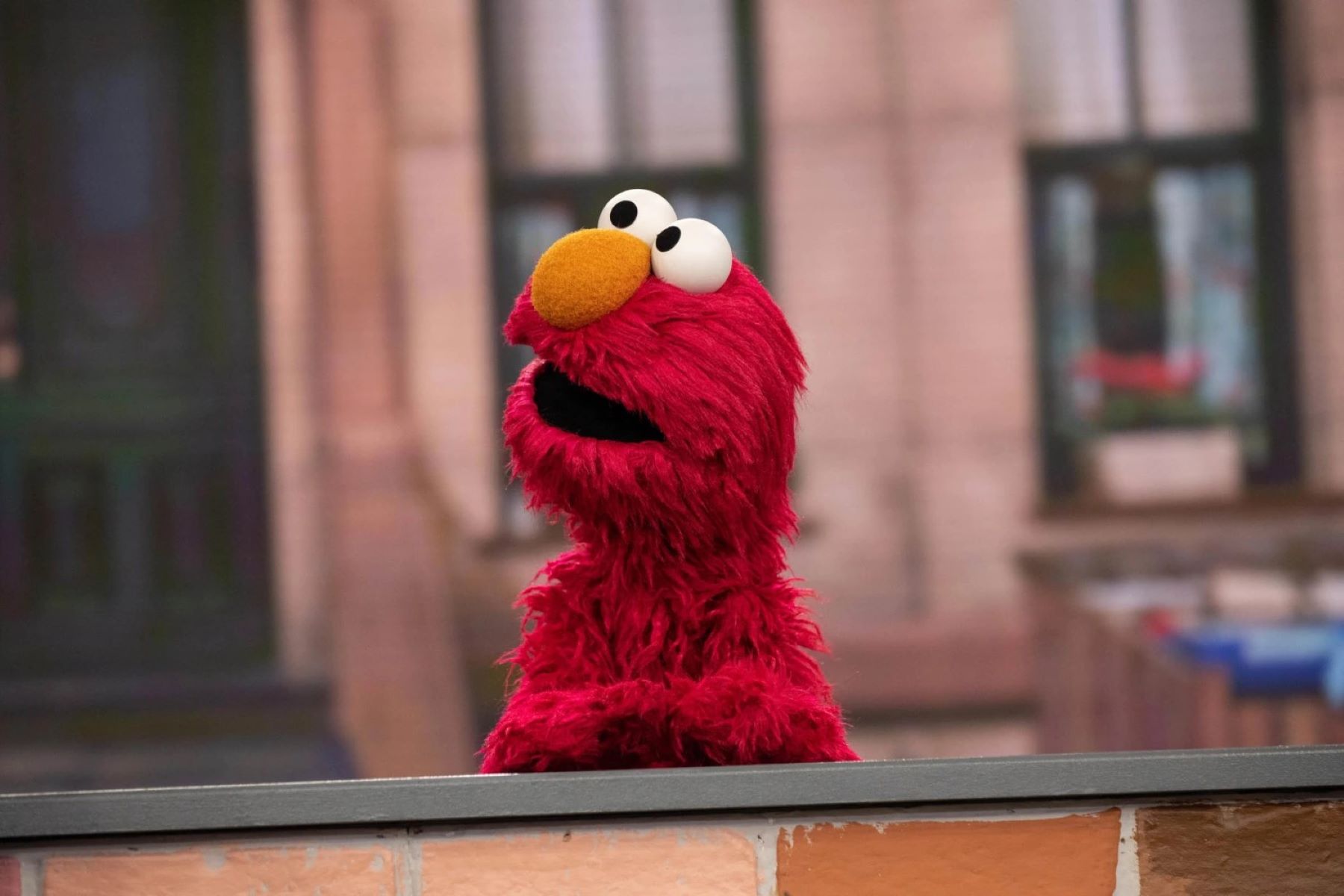 Elmo's World Quiz