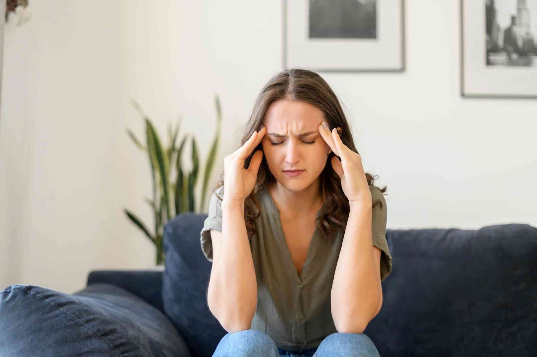 Fight, Flight, Freeze, Fawn Quiz