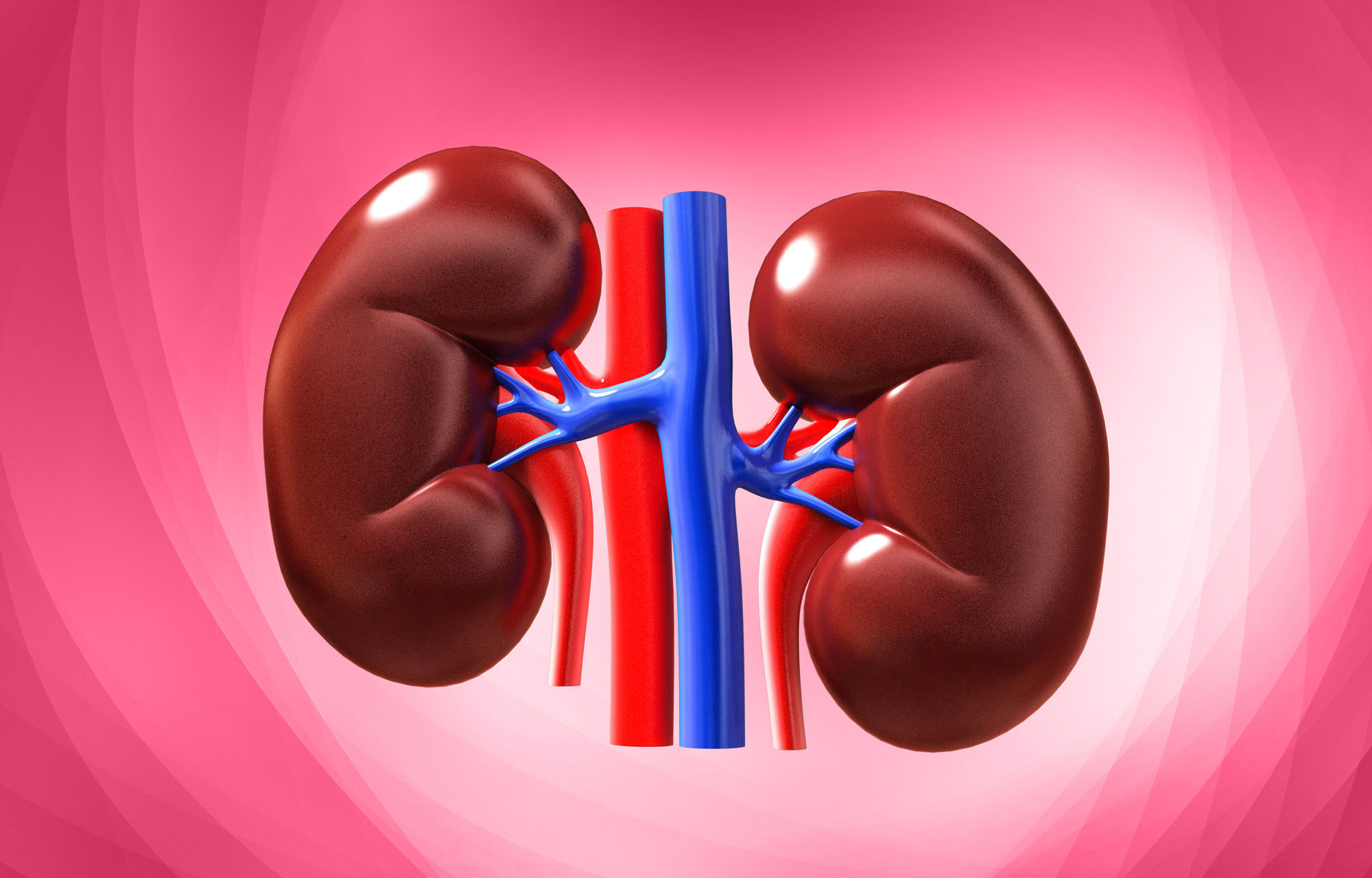 kidney-quiz