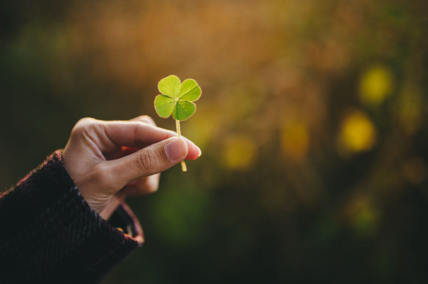 luck-quiz