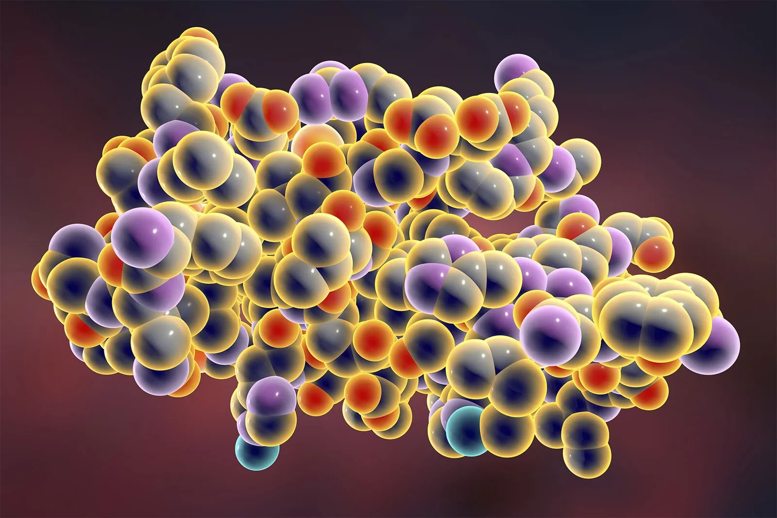 macromolecules-quiz