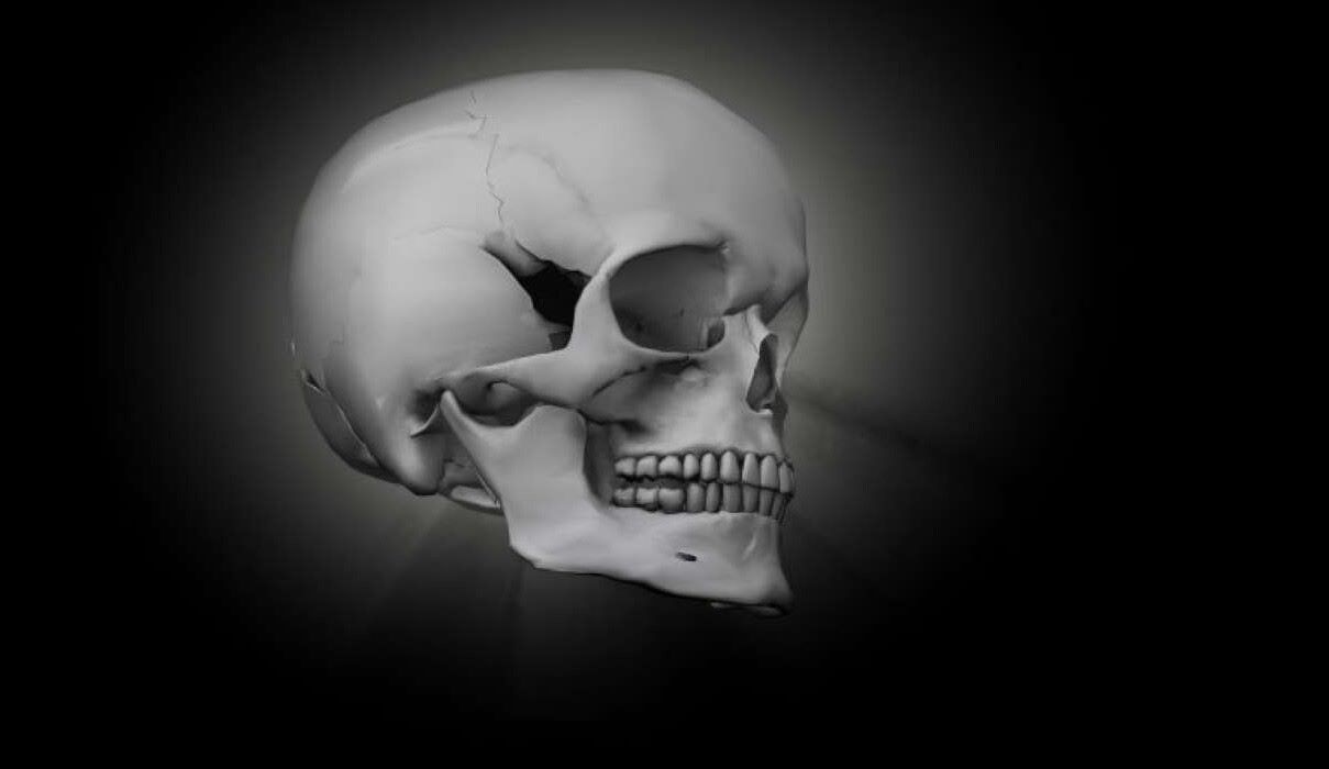 skull-anatomy-quiz