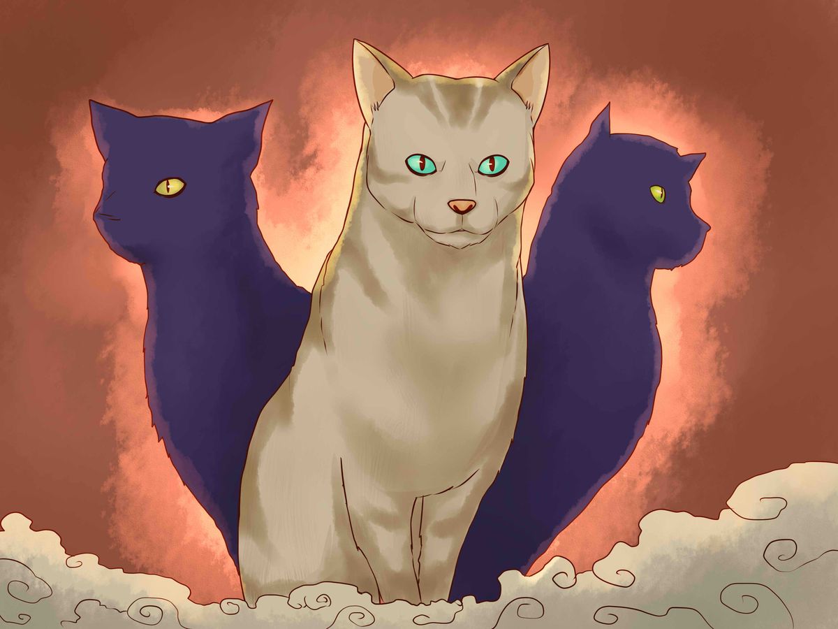 Warrior Cat Quiz