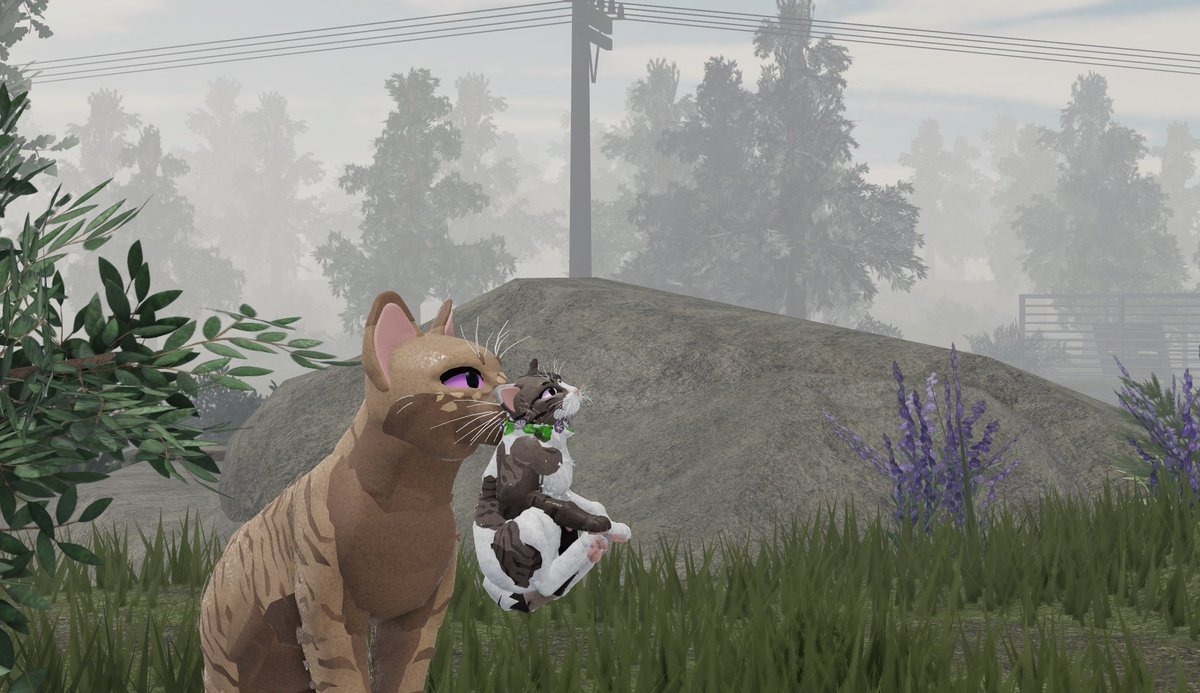 Warrior Cats Mate Quiz