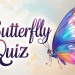 Butterfly Quiz